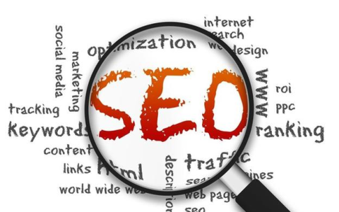 SEO优化技术里的蜘蛛池是什么?
