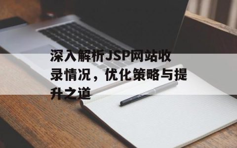 深入解析JSP网站收录情况，优化策略与提升之道